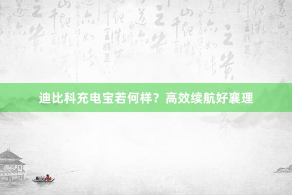 迪比科充电宝若何样？高效续航好襄理